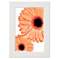 Gambar hiasan bersaiz A4/home decor/room decor