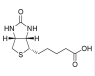 Biotin magnetic microspheres / biotin magnetic beads / biotin magnetic beads / biotin / biotin magne