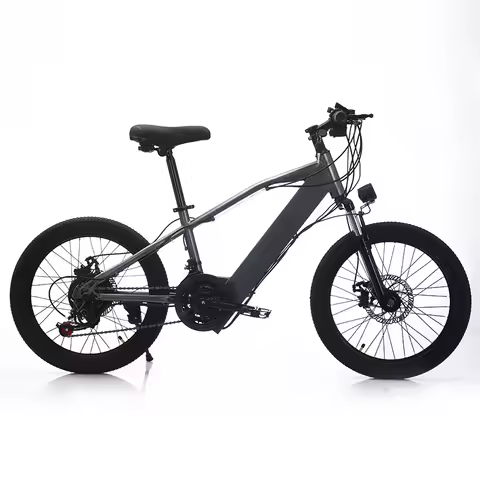 Children's Lithium Battery Mountain Bike – Warehouse Direct, Hot Style, Teen Riding