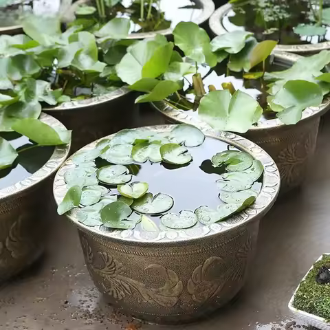 Resin Lotus Planter Pot Large 19cm Height Water Reservoir Planter Copper Bronze 7.5L Capacity Retro 