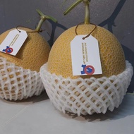 AO Premium Rock Melon 顶级哈密瓜