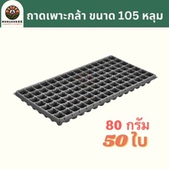 ถาดเพาะกล้า 105 หลุม 80 กรัม ถาดเพาะเมล็ด ถาดเพาะชำ ถาดเพาะต้นกล้า ถาดเพาะต้นอ่อน ถาดเพาะ ถาดเพาะปลู