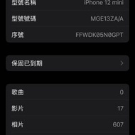 100健康度iphone 12 mini 64GB 小花