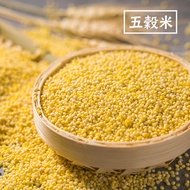 [Zhanrong Company Number Five Grain Rice] Xiaomi Buckwheat Barley Small Foreign Dense Soft Factory Directly Managed Physical Business Store