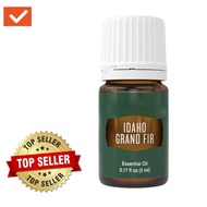 *SUPER PROMO* Young-Livings Idaho Grand Fir (Idaho Balsam Fir) Essential Oil 5ml
