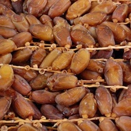 Kurma BerTangkai Tunisia 7Dates