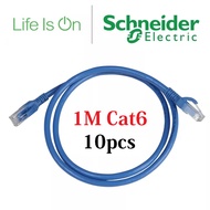 (10 pcs) Custom Made 1m Schneider CAT6 Patch Cord / Cat6 LAN Cable  - 1m Schneider Patch Cord