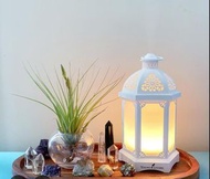 Diffuser Young living