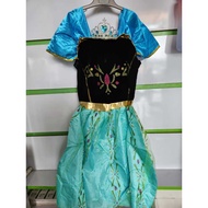 Frozen Anna costume Frozen Anna princess dress/ prozen dress princess dress Girls' costume/