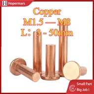 Copper countersunk head rivets GB869 percussion type flat head flat cone head solid rivets Copper d 
