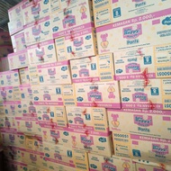 Pampers Baby Happy Renceng kemasan baru  M/L 1 Dus Isi 48+8 Pcs