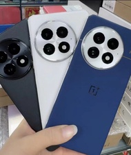 OnePlus 13 中國版