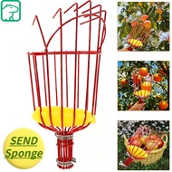 Height Adjustable Multifunction Fruit Picker Net Basket Tool Easy Safe Work Plucker Catcher Gardenin