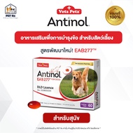 Antinol [แท้💯] สูตรใหม่! "EAB277" อาหารเสริมบำรุงข้อ สำหรับสุนัขและแมว