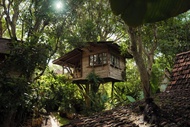 Roots Tree House
