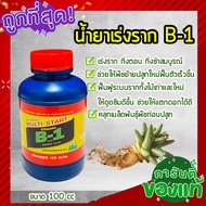 น้ำยาเร่งรากบีวัน 💥 ยาเร่งรากB-1 เข้มข้น สารเร่งราก อาหารเสริมพืช ช่วยให้พืชแตกรากได้ดี