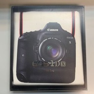 Canon EOS 1DX tote bag