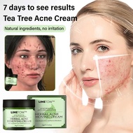DD 🔥Herbal Tea Tree Acne Cream Lighten Acne Marks Oil-Controlling And Cleansing Plant Cream茶树祛痘膏