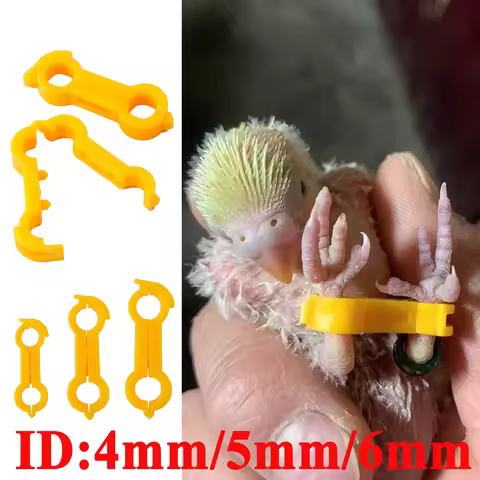 15 Pcs 4/5/6mm Nestling‌ Eight-Character Correction Ring Parrot Corrector for Rutin Chicken Budgie C