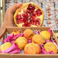 [Beli 1 Free 1] - Delima Yaman Manis - Fresh, Berjus, Biji Lembut - Soft Seed - Direct Tanah Arab