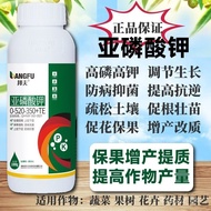 (Hot Sale)Potassium Phosphite Foliar Fertilizer Disease Resistance Antibacterial Flower Retention Ba