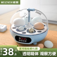 Egg Incubator Small Rutin Chicken Water Bed Incubator Small Household Incubator Mini Automatic Intelligent Incubator