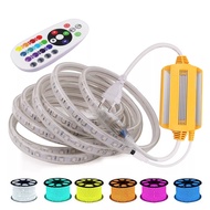 RGB Led Light Strip SMD 5050 60Led/m Waterproof Dimmable Remote Control 220V LED Light Strip RGB For