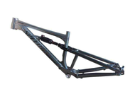 SPEEDONE AMBASSADOR FULLSUS FRAME
