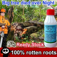 1 bottle kills 100 trees racun pokok besar 200ML Concentrated formula racun pokok kayu besar tree ki