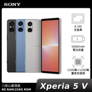 Sony Xperia 5 V (XQ-DE72)