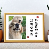 Pet Frame Photo Printing Pet Commemorative Photo 26.9.10