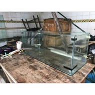 Aquarium ikan predator