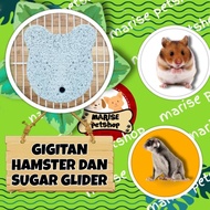 Hamster bite gnawing mineral stone sweet calcium stone