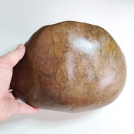 Natural Mekong River Stone 5.29 kg (22x18x11 Cm.) Polished Smooth Surface Turtle Back Shape Garden D