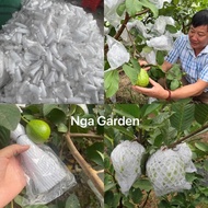 1 kg of pre-wrapped guava foam, custard apple wrapping foam, apple wrapping foam, avoid yellow fruit