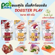 ขนมสุนัข อาหารสุนัข Dogster Play เนื้อสัตว์อบแห้ง สำหรับ สุนัข ขนาด 40 กรัม 1ซอง เนื้อสัตว์สำหรับสุน