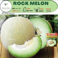 (mahal) 3 biji benih ROCK MELON LEONI TEMBIKAI manis seeds