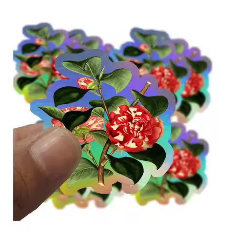 Wholesale Vinyl/Vinyl Inkjet A4/Adhesive Holographic Paper/Hologram Sticker Paper/Custom Sticker/A4 