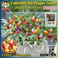 Fresh Rare Bolivian Rainbow Colorful Chili Pepper Seeds for Planting Vegetables (Fast Growing 300pcs
