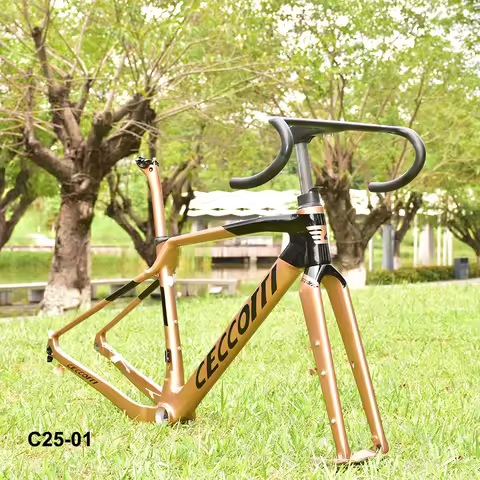 CECCOTTI Full Carbon Gravel Bike Frameset Full Inner Cable Handlebar and Bicycle Frame Gravel