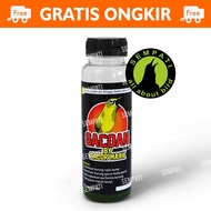 GACOAN DOPPING VITAMIN BURUNG PLECI GACOAN BY GACOR MAXX DOPING TAMBAHAN BURUNG PLECI CEPAT GACOR NG
