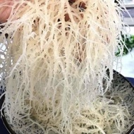 RONG SỤN - RONG CHÂN VỊT TRỘN GỎI NẤU CHÈ