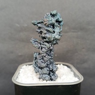 Silver Pillar Leklai 银色柱子力泥 Leklai Goethite 100% Natural Leklai