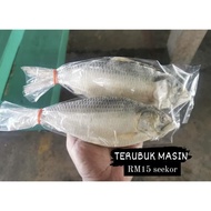 Ikan Terubuk Masin (Sabah)