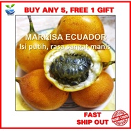Biji benih MARKISA EQUADOR MANIS isi putih Ecuador Colombia Granadilla Sweet Passion orange gold Fru