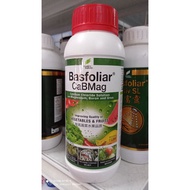 Basfoliar CaB Mag Calcium Magnesium 1 L Behn Meyer