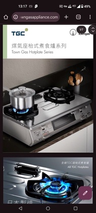 TGC 煤氣座枱式煮食爐,煤氣熱水爐