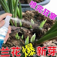 有機肥 花肥 開花肥 肥料 氮磷鉀 磷鉀肥 磷酸二氫鉀 蘭花強力爆芽素爆芽王蘭花營養液直接噴生根壯根催芽爆芽增肥專用