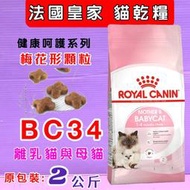 🍓妤珈寵物🍓法國皇家 ROYAL CANIN《BC34 離乳貓  2kg》貓飼料 貓乾糧  專用飼料