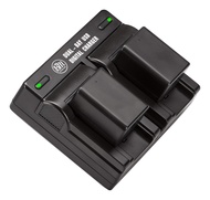 BM Premium 2 Pack VW-VBK180 Batteries and Dual Bay Charger for Panasonic HC-V10 HC-V100 HC-V500 HC-V